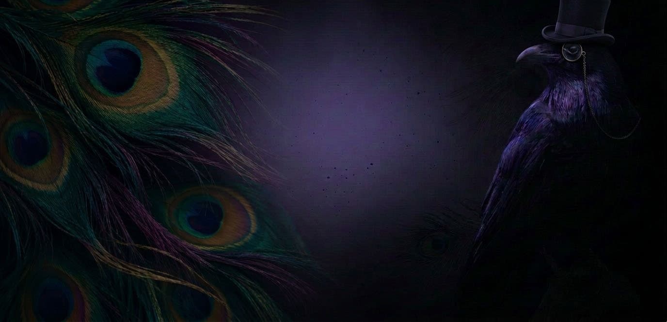A raven in a top hat and monocle beside a fall of peacock feathers